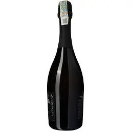 Вино ігристе Villa Tinta Tintarella Brut, 12,5%, 0,75 л (8000018914832) - мініатюра 3