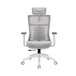Офисное кресло OfficePro Balance OC620-W-LG-LG (OC620-W-LG-LG)
