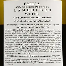 Вино ігристе Terre Cevico Cerbio Lambrusco Emilia IGT White Dry, біле, сухе, 10,5%, 0,75 л - мініатюра 3