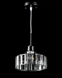 Люстра стельова E27 Splendid Ray L7396/1, 40W, Чорний/білий, регульована висота, сучасний стиль для дому