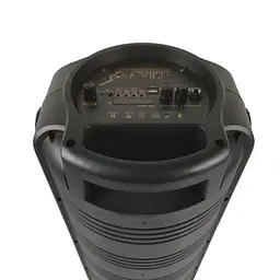 Портативна колонка RX-8228 Акустична система 20Вт RGB підсвічування з мікрофоном і пультом 2x8" Чорний - мініатюра 3