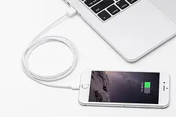 Кабель Xiaomi ZMi Cable USB-Lightning 1m (AL813) White [47075] - мініатюра 3