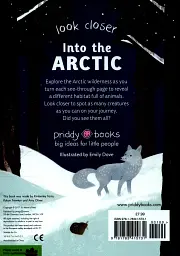 Look Closer into the Arctic - мініатюра 2