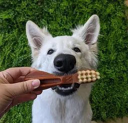 Натуральні ласощі для зубів собак WHIMZEES Dental Treats Toothbrush S 24 шт. - мініатюра 5