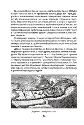 «Коровай свиного сала в пуд». Розваги, частування, хвороби та шати в козацькій Україні - Віктор Горобець - мініатюра 16