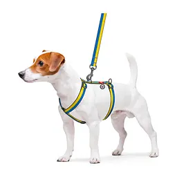 Шлея для собак WAUDOG Nylon з QR паспортом анатомічна "Colors of freedom" XS (319-4020) - мініатюра 4