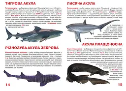 Велика книга Кристал Бук Акули (F00018784) - мініатюра 3