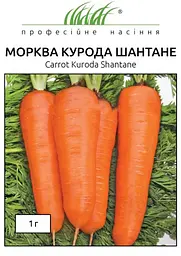 Насіння моркви Курода Шантане 1 г (Професійне насіння)