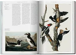 Science Illustration. A History of Visual Knowledge from the 15th Century - мініатюра 5
