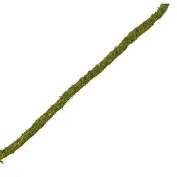 Ліана гнучка з натуральним мохом для тераріуму Repti-Zoo Artificial Moss Vine 1,5см x 2м (RV0215) - мініатюра 2