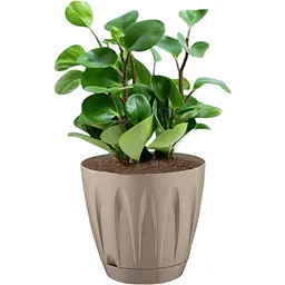 Вазон для квітів Serinova Daisy 1.5 л мокко (20-P00201214-200100) - мініатюра 2