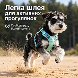 Шлея для собак Nunbell No-Pull з повідцем, регульована та світловідбивна 2XL, Зелений - мініатюра 8