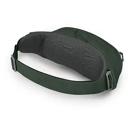 Поясная сумка Osprey Daylite Waist Зелений - мініатюра 3
