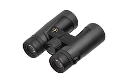 Бінокль Leupold BX-2 Alpine 10x42 mm Roof темно-сірий - мініатюра 2