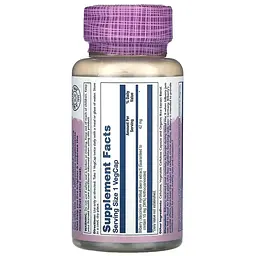 Екстракт чорниці Solaray Bilberry Berry Extract 42 мг 60 веганських капсул - мініатюра 2