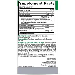 Чоловіче здоров'я Nature's Answer Male Complete 120 вегетаріанських капсул - мініатюра 3