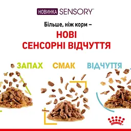 Вологий корм для дорослих котів Royal Canin Sensory Taste Gravy, шматочки в соусі, 85 г - мініатюра 5