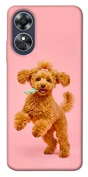 TPU чохол Demsky Happy poodle для Oppo A17