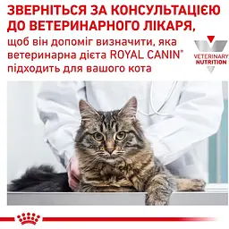 Сухий корм для котів Royal Canin Vd Feline Hypoallergenic Cat при харчовій алергії 0.4 кг - мініатюра 9