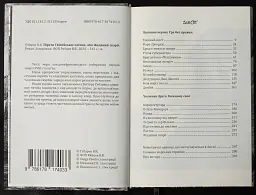 Пірати Гвінейської затоки, або Жаданий скарб - Віктор Губарев - мініатюра 2