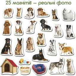 Дитячий розвиваючий набір магнітів Magdum Породи собак 24 шт. ML4031-20EN  - мініатюра 3
