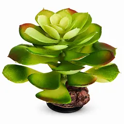 Штучна рослина Hobby Terra Succulent 4 17 см (37733) для тераріуму, акватераріуму та палюдаріуму