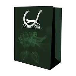 Наручний годинник Slazenger SL.09.6232.4.03 - мініатюра 3