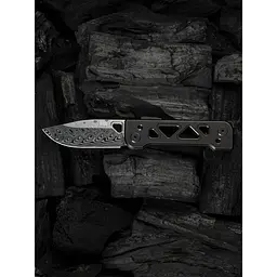 Ніж складаний Weknife Tyro WE24001-DS1 - мініатюра 20