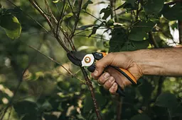 Секатор Fiskars Solid P361 Anvil до 22 мм (1057165) - мініатюра 2