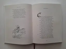 Книга Апріорі Любовні елегії. Мистецтво кохання. Ліки від кохання / Публій Овідій Назон українською мовою kni0004282 - мініатюра 4