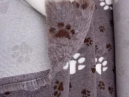 Килимок Jackson Textiles Big Paws brown 160х300 см (JT-033-3) - мініатюра 5