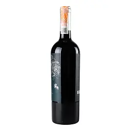 Вино Odfjell Orzada Carignan 2019, 13%, 0,75 л (871903) - мініатюра 2