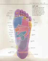 Reflexology - мініатюра 3