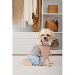 Дощовик Pet Fashion Tina для дівчаток розмір XS2 бежевий/блакитний - мініатюра 6