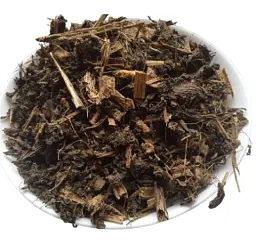Шавлія мускатна Трава Salvia sclarea - мініатюра 1