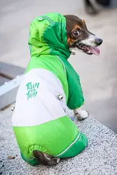 Комбінезон Smart Pet Стаєр - мініатюра 2