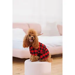 Костюм для собак Pet Fashion Xmas XS червоний - мініатюра 4
