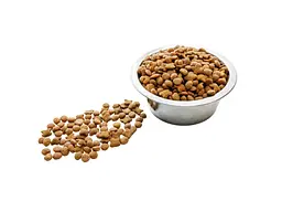 Сухий корм для кішок Wise Cat Veal with poultry 400 г (4820111141630) - мініатюра 2