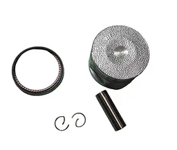 Delta 110 Поршень (у зборі) 0.75 (O53.15mm) SEE