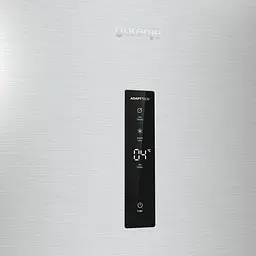 Холодильна камера Gorenje R619EAXL6 (R619EAXL6) - мініатюра 10