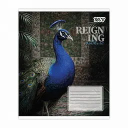 Упаковка зошитів учнівський Yes Reign ing А5 / 48 кл. 10 шт. (769096) - мініатюра 5