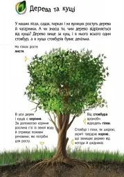 Енциклопедія дошкільника: Природа - мініатюра 2