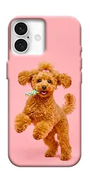 TPU чохол Demsky Happy poodle для Apple iPhone 16 (6.1")