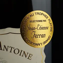 Вино Clocher Saint Antoine Rouge 2021 AOP Pic Saint Loup, червоне, сухе, 0,75 л - мініатюра 6