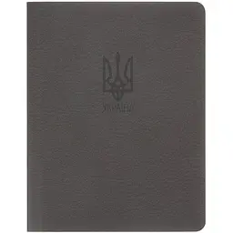 Книга записна Buromax Military з синтетичного каменя А6 64 аркуші у клітинку графіт (BM.296190-50)