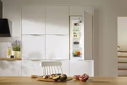 Вбудований холодильник Gorenje з морозильною камерою 177х55х54см 2 двері 180 (68) л А++ NF+ білий (NRKI4182A1) - мініатюра 4
