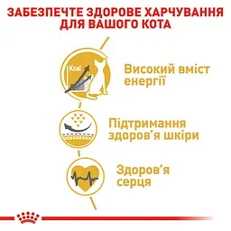 Сухий корм для дорослих кішок породи сфінкс Royal Canin Sphynx Adult, з м'ясом птиці, 2 кг - мініатюра 4