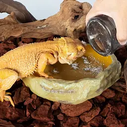 Вітамінізатор, шейкер Repti-Zoo Vita-Calcium (GMB01) для обробки кормових комах кальцієм і вітамінами - мініатюра 6