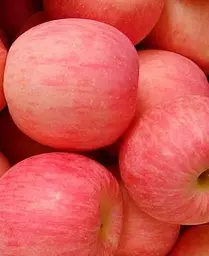 Саджанець Agro-Market Яблуня Фуджі (зимовий сорт, пізній термін дозрівання) (17569) 1 шт. в упаковці - мініатюра 3