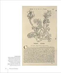 Botany for the Artist - мініатюра 2